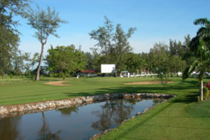 ミリ・ゴルフクラブ