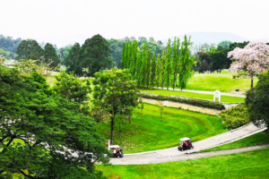 ケラブ・ゴルフ・ペルキドマタン・アワム